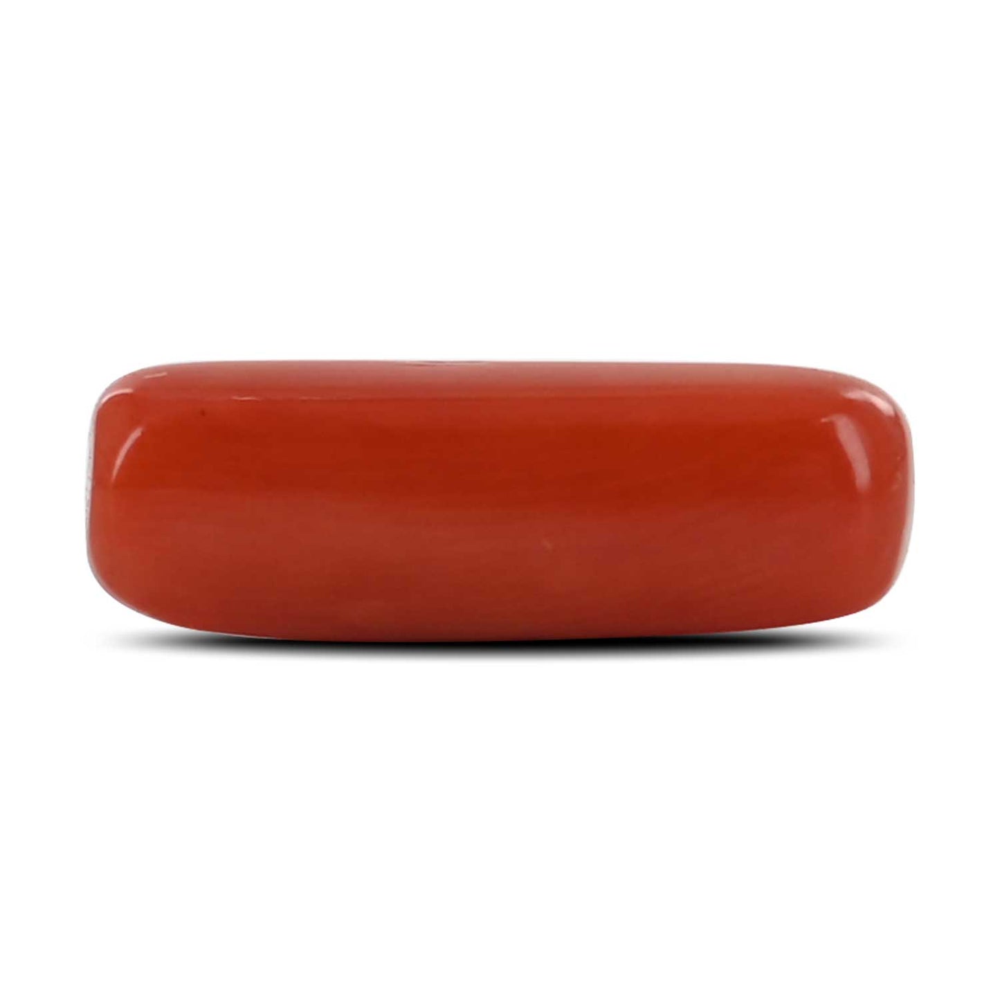 Red Coral (Moonga) - 4.34 Carat