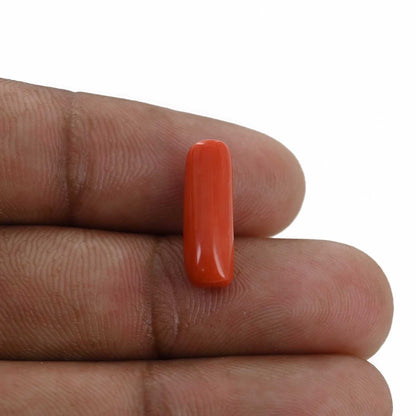 Red Coral (Moonga) - 4.34 Carat
