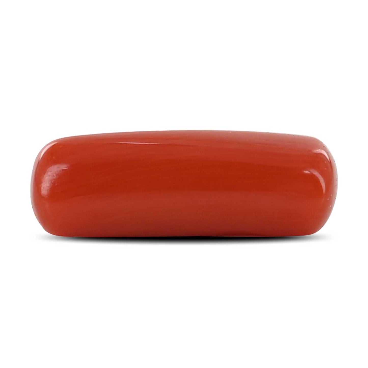 Red Coral (Moonga) - 4.48 Carat