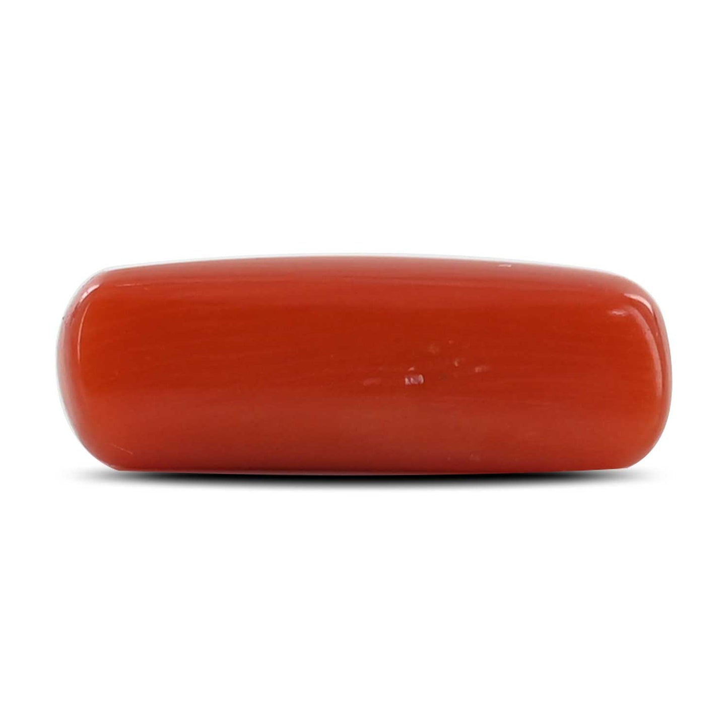 Red Coral (Moonga) - 4.48 Carat