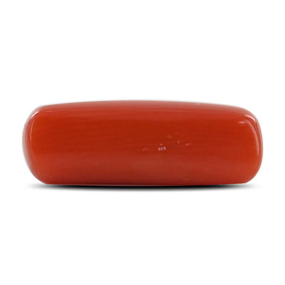 Red Coral (Moonga) - 4.48 Carat
