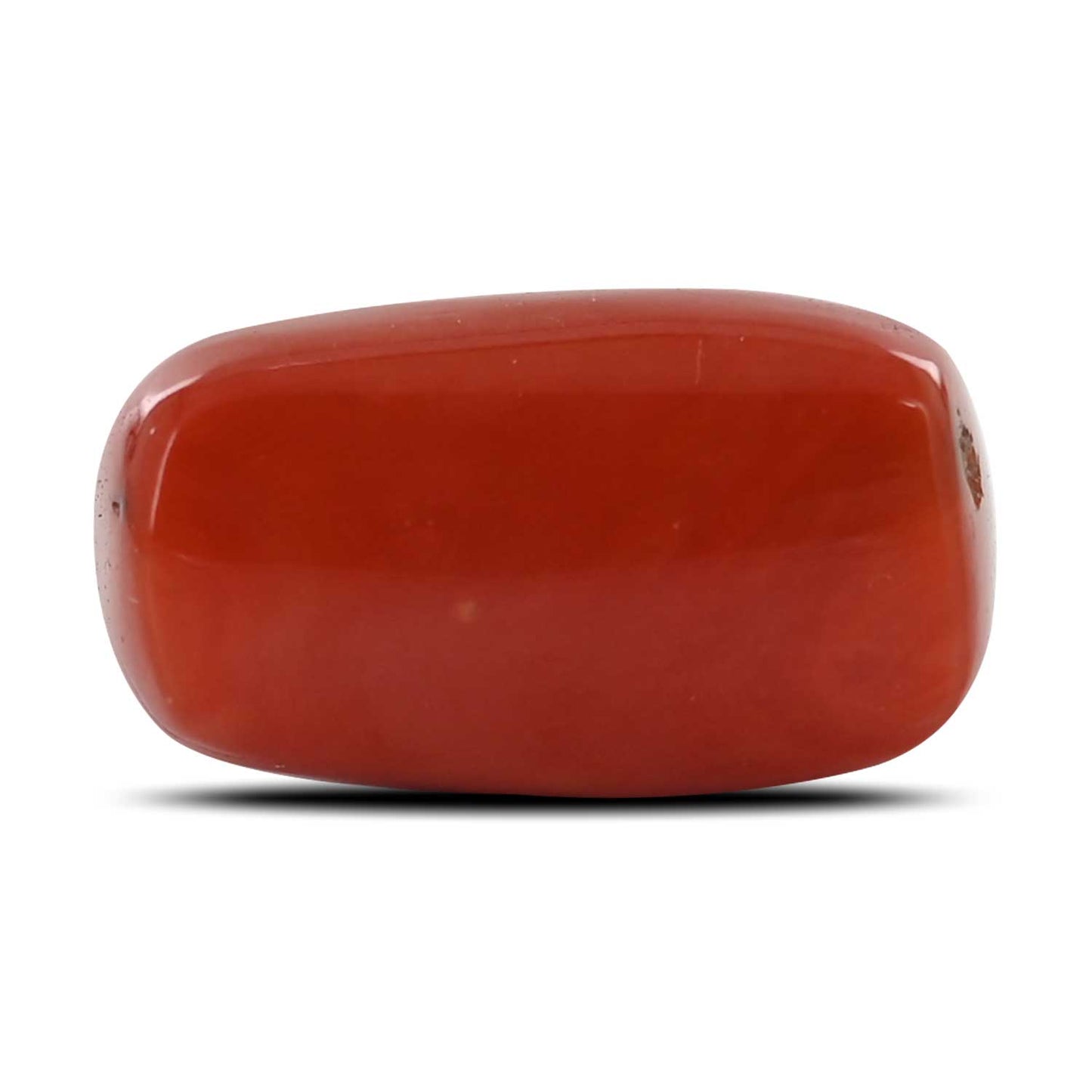 Red Coral (Moonga) - 18.61 Carat