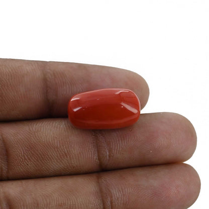 Red Coral (Moonga) - 18.61 Carat