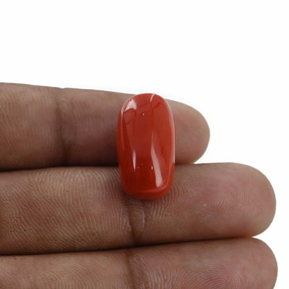 Red Coral (Moonga) - 18.61 Carat