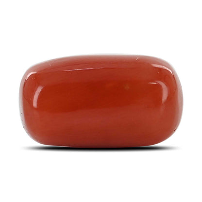 Red Coral (Moonga) - 15.38 Carat
