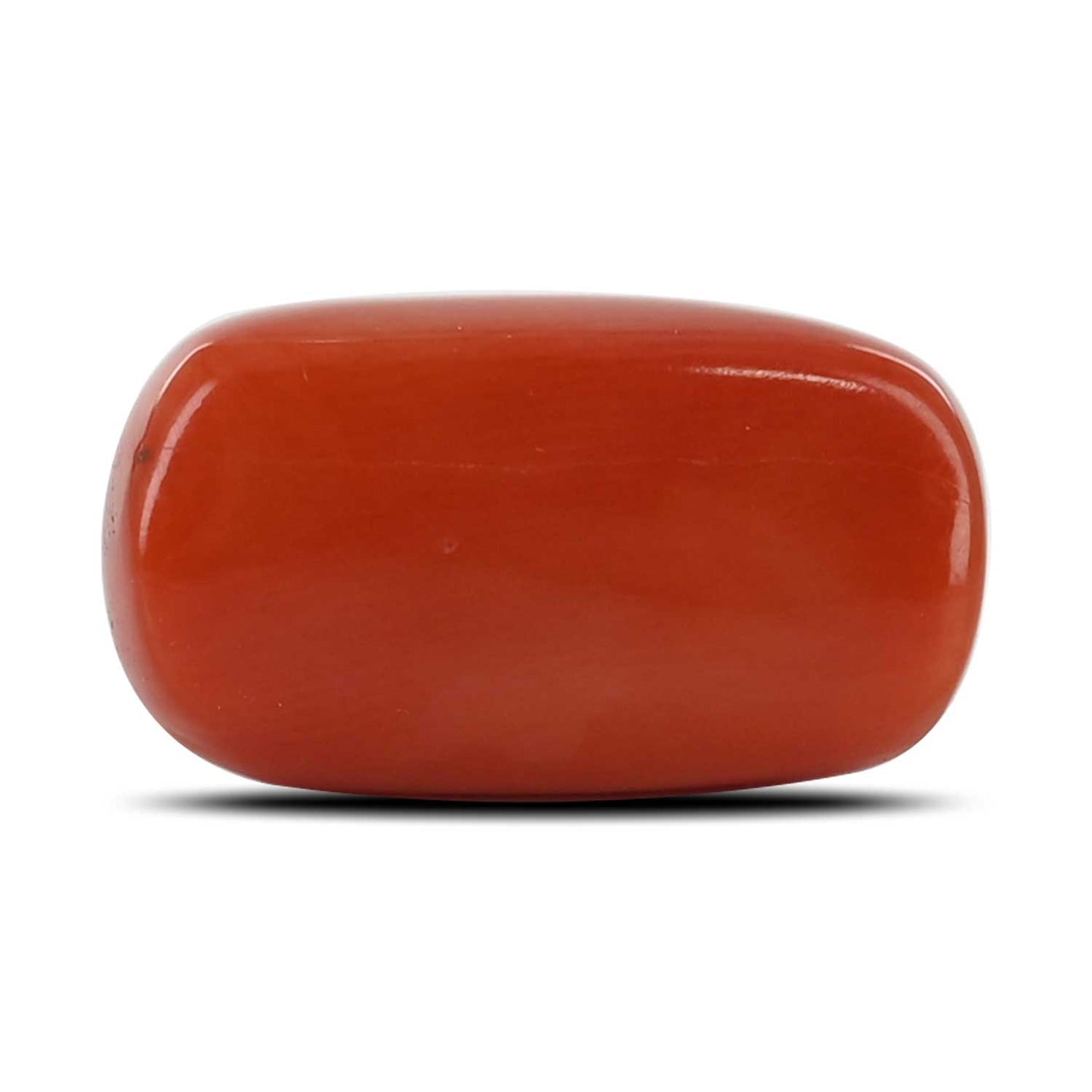 Red Coral (Moonga) - 15.38 Carat