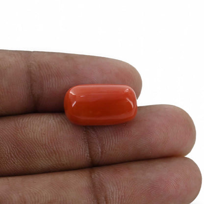 Red Coral (Moonga) - 15.38 Carat