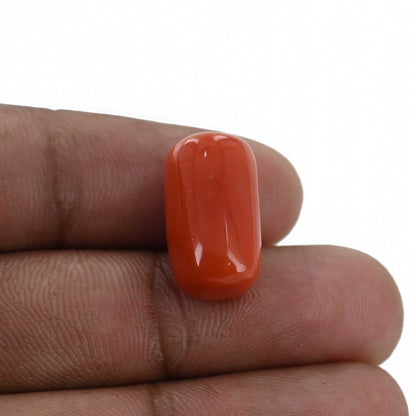 Red Coral (Moonga) - 15.38 Carat