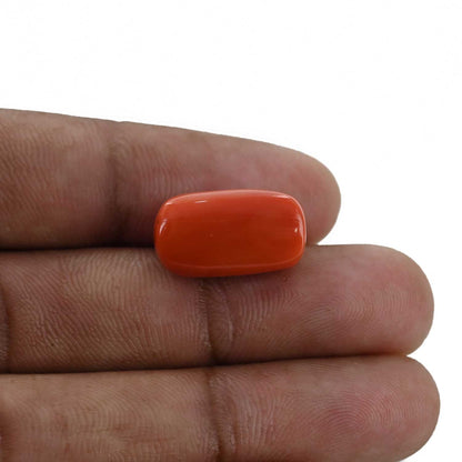 Red Coral (Moonga) - 15.38 Carat