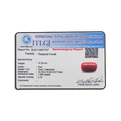 Red Coral (Moonga) - 15.38 Carat