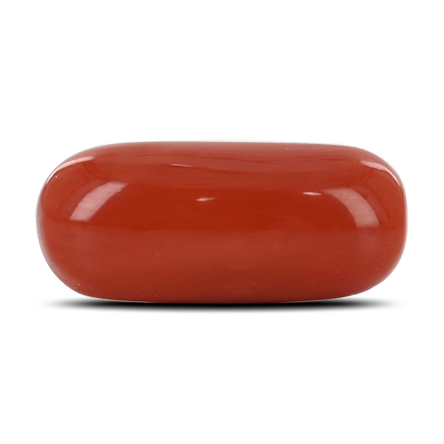 Red Coral (Moonga) - 11.93 Carat