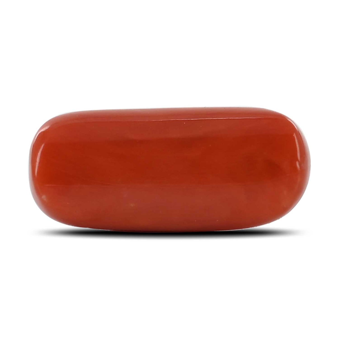 Red Coral (Moonga) - 11.93 Carat
