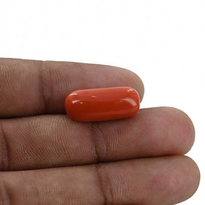 Red Coral (Moonga) - 11.93 Carat