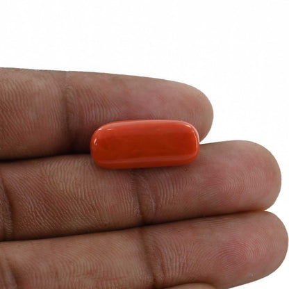 Red Coral (Moonga) - 11.93 Carat