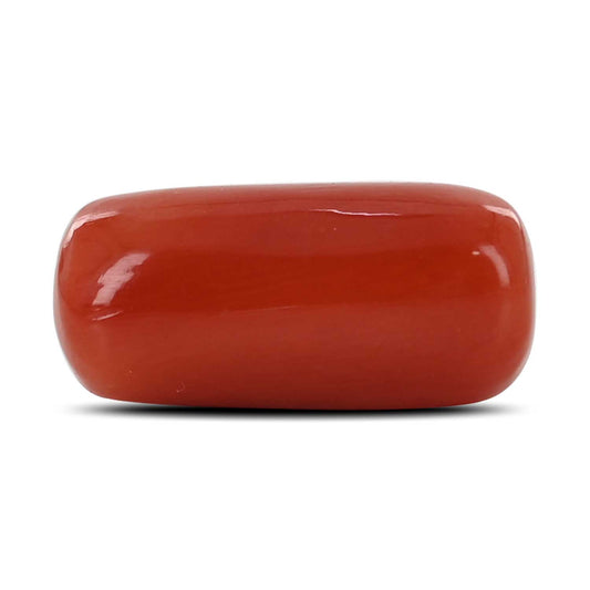 Red Coral (Moonga) - 13.16 Carat