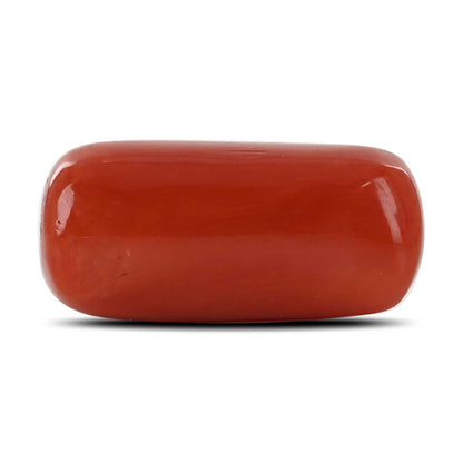 Red Coral (Moonga) - 13.16 Carat