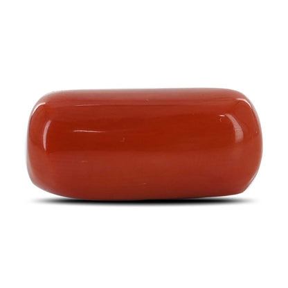 Red Coral (Moonga) - 11.87 Carat