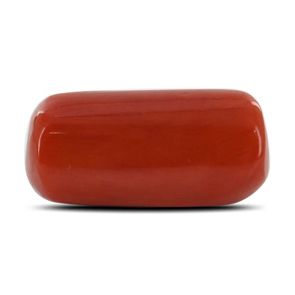 Red Coral (Moonga) - 11.87 Carat