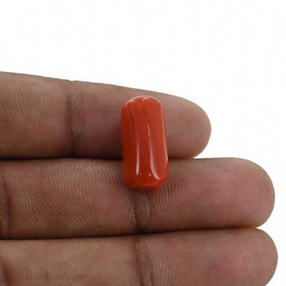 Red Coral (Moonga) - 11.87 Carat