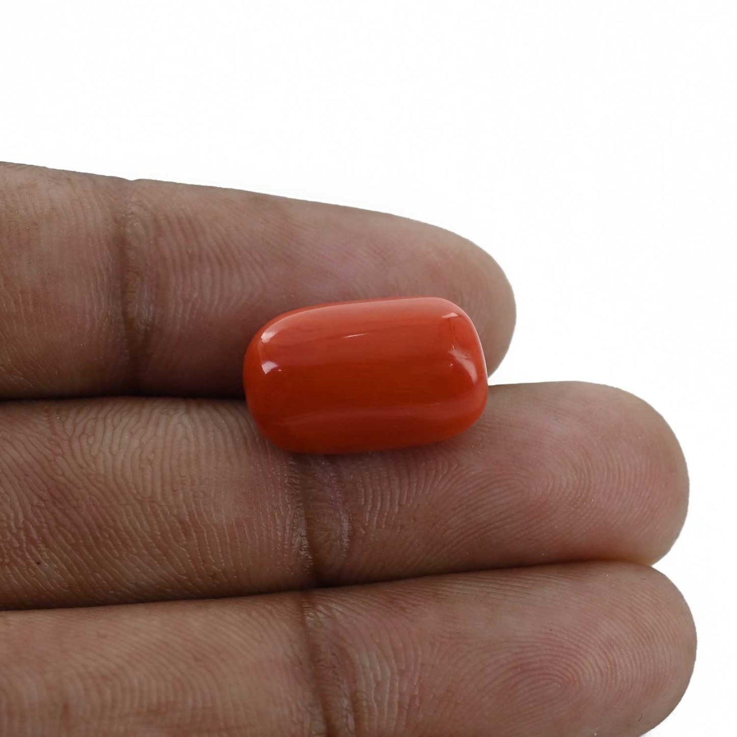 Red Coral (Moonga) - 12.49 Carat