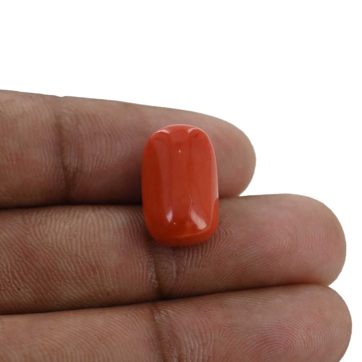Red Coral (Moonga) - 12.49 Carat