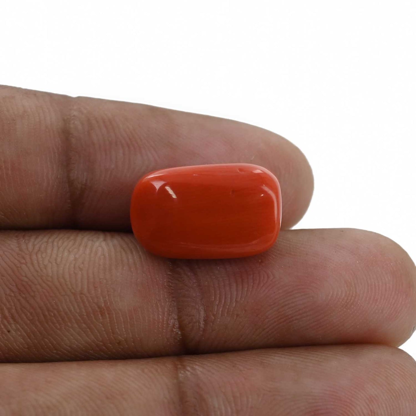 Red Coral (Moonga) - 12.49 Carat