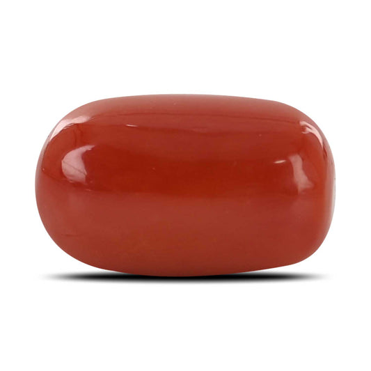Red Coral (Moonga) - 14.77 Carat