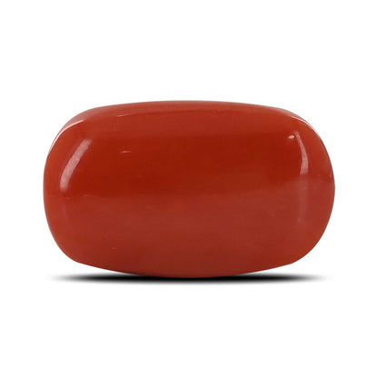 Red Coral (Moonga) - 14.77 Carat