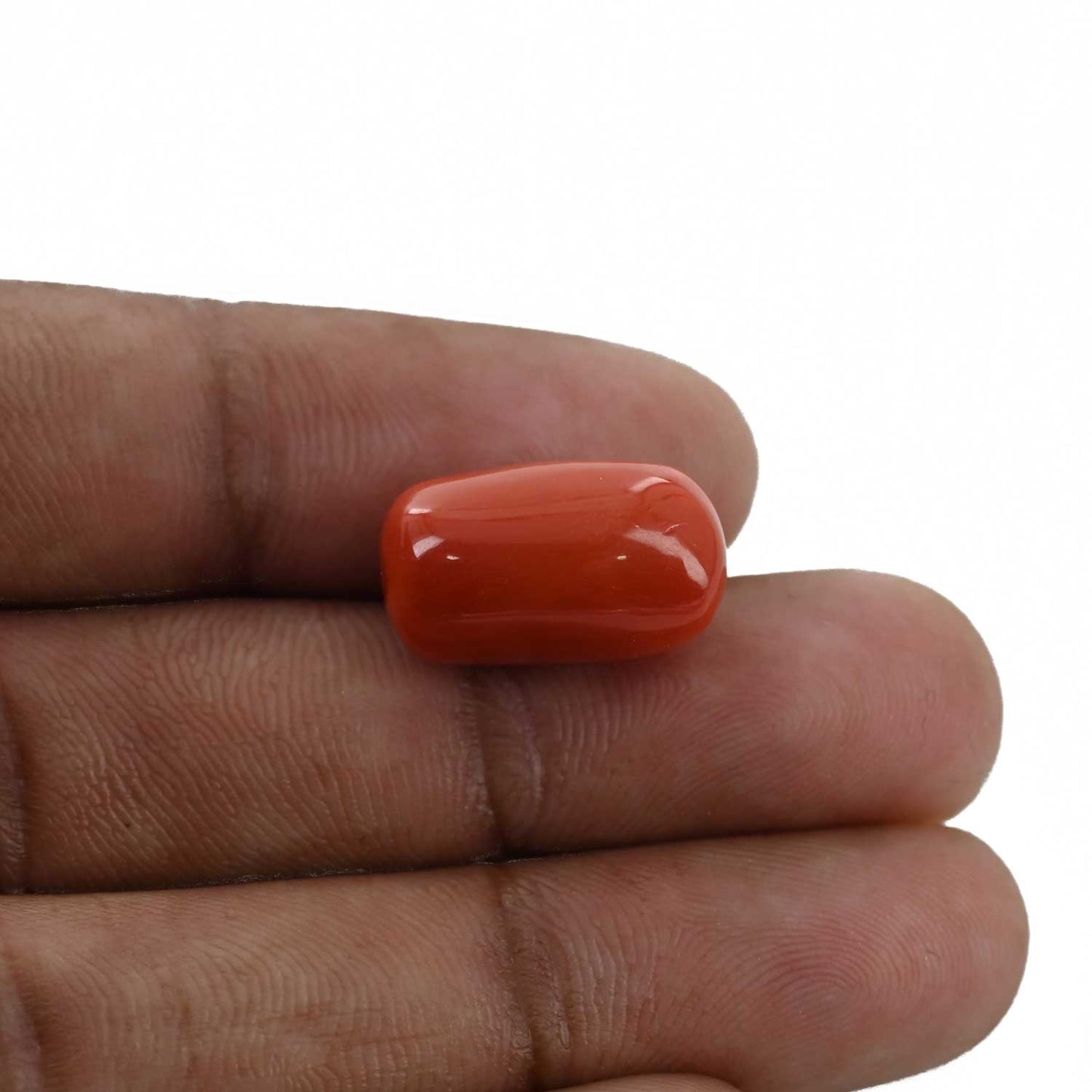 Red Coral (Moonga) - 14.77 Carat