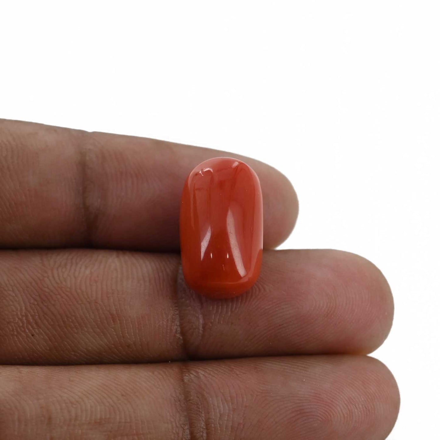 Red Coral (Moonga) - 14.77 Carat
