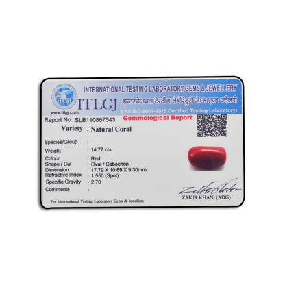 Red Coral (Moonga) - 14.77 Carat