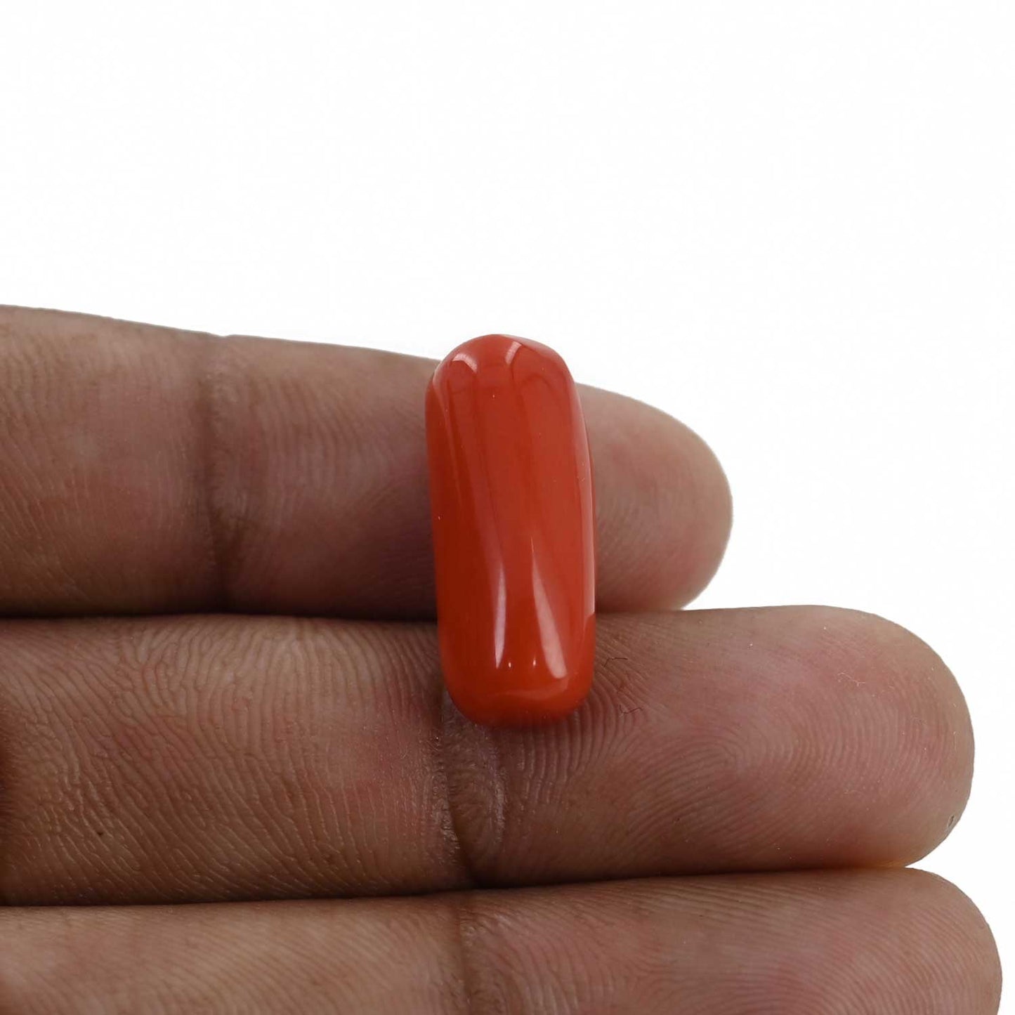 Red Coral (Moonga) - 12.61 Carat