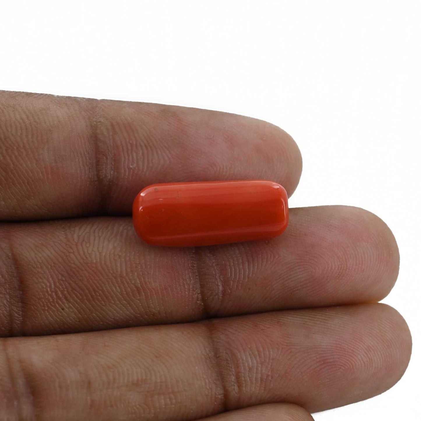 Red Coral (Moonga) - 12.61 Carat