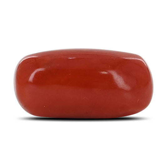 Red Coral (Moonga) - 10.32 Carat