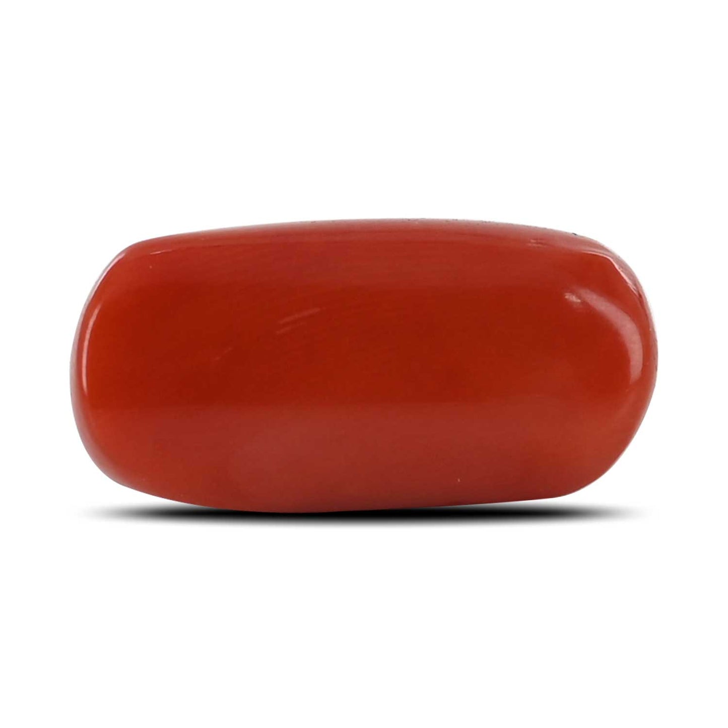 Red Coral (Moonga) - 10.32 Carat