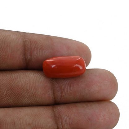 Red Coral (Moonga) - 10.32 Carat