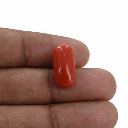 Red Coral (Moonga) - 10.32 Carat