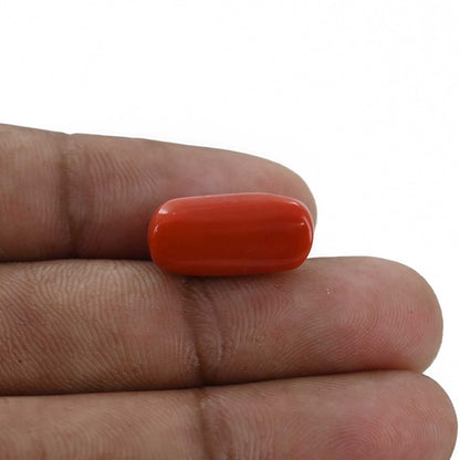 Red Coral (Moonga) - 10.32 Carat