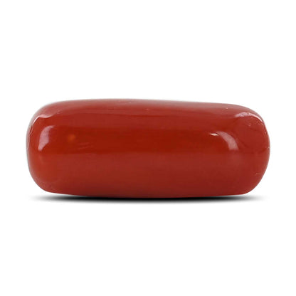 Red Coral (Moonga) - 9.67 Carat