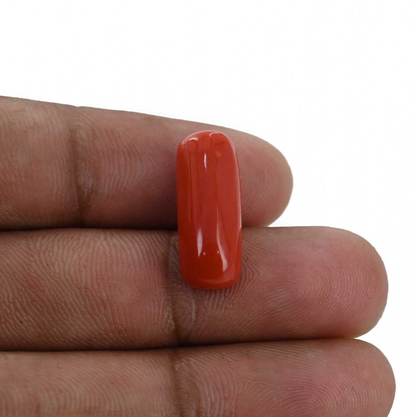 Red Coral (Moonga) - 9.67 Carat