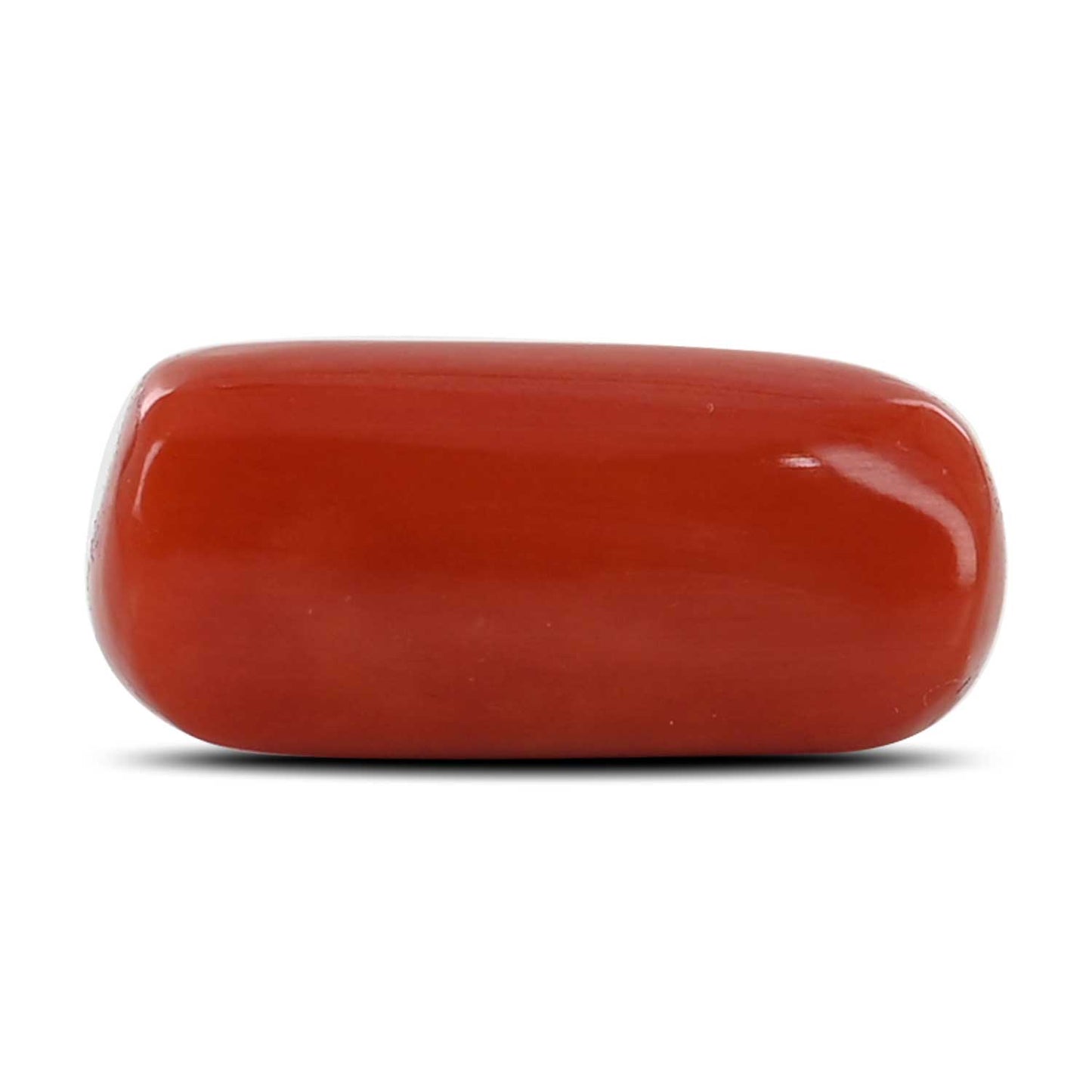 Red Coral (Moonga) - 12.58 Carat