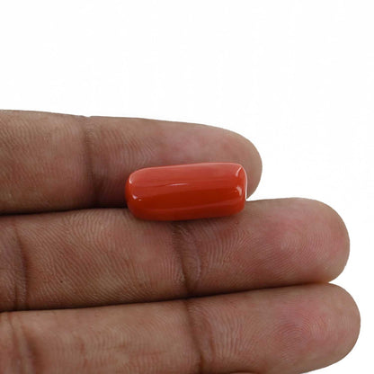 Red Coral (Moonga) - 12.58 Carat