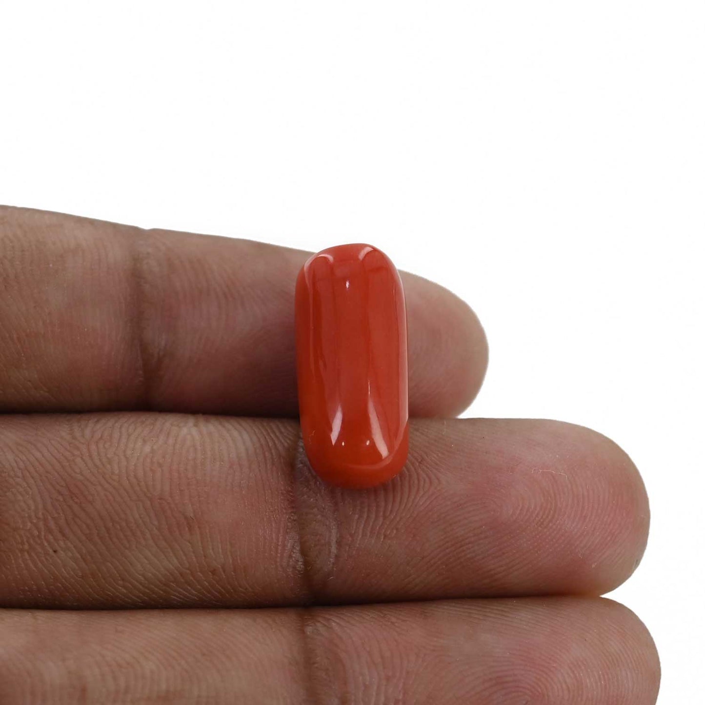 Red Coral (Moonga) - 12.58 Carat