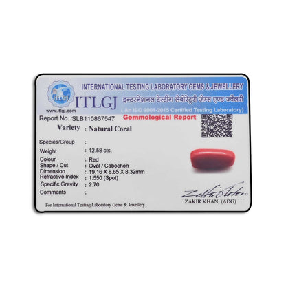 Red Coral (Moonga) - 12.58 Carat