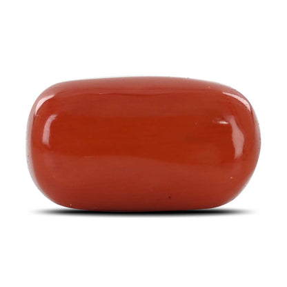 Red Coral (Moonga) - 12.68 Carat
