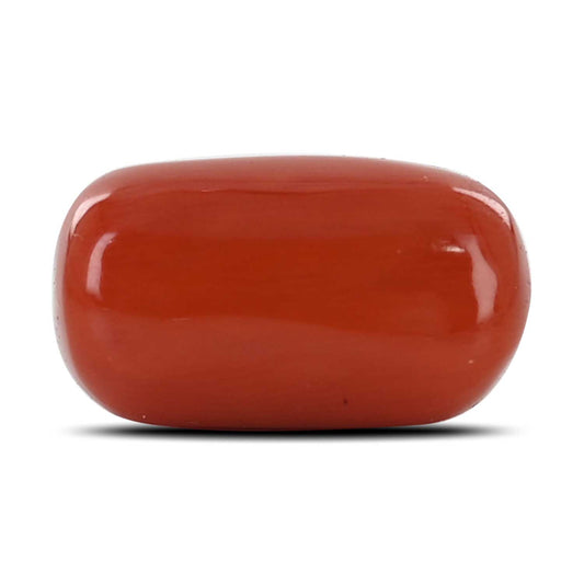 Red Coral (Moonga) - 12.68 Carat