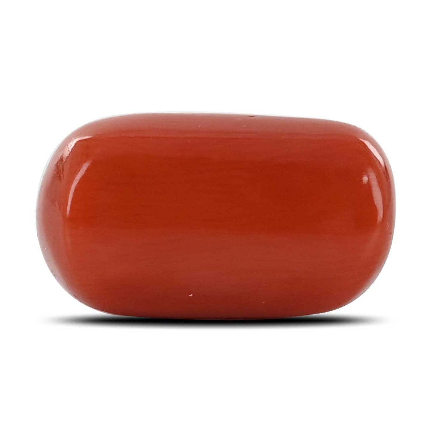 Red Coral (Moonga) - 12.68 Carat