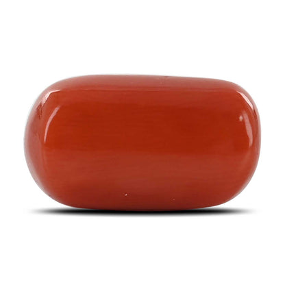 Red Coral (Moonga) - 12.68 Carat