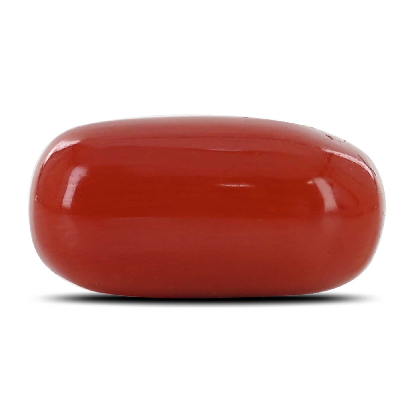 Red Coral (Moonga) - 13.65 Carat