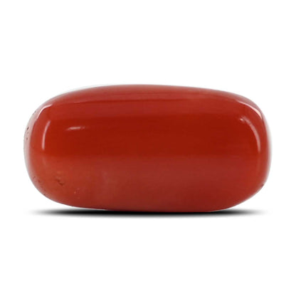Red Coral (Moonga) - 13.65 Carat